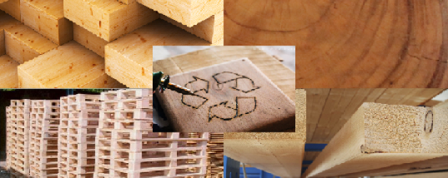 EP waste management Recycling Solid Wood Waste